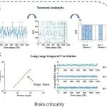 生物物理研究所刘宁团队最新PNAS