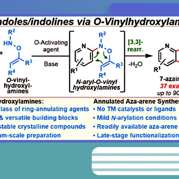【JACS】莱斯大学/Enamine公司：利用O-乙烯基羟胺实现氮杂吲哚啉和氮杂吲哚的合成