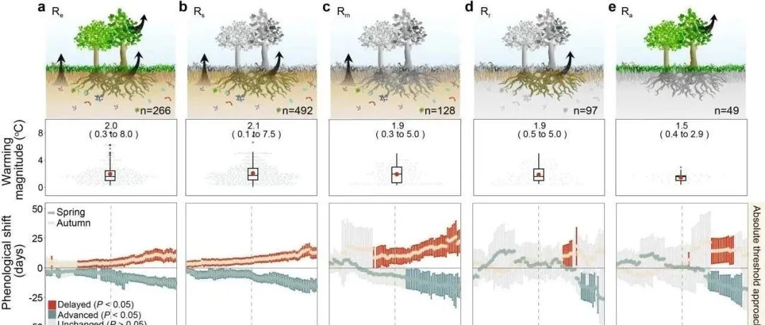 Nature Geoscience ！兰州大学团队发现气候变暖导致植物与土壤微生物物候不匹配