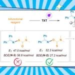 【Org. Lett.】中南大学阳华/陈凯课题组: 光敏化实现的烯烃1,2-亚胺硫代氨基甲酸酯化