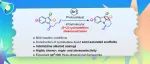 【J. Org. Chem.】华侨大学崔秀灵课题组：光催化分子内的[2+2]环加成/去芳构化反应合成半饱和杂环化合物