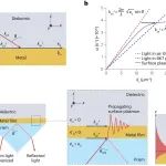 研究进展：表面等离子体共振技术SPR-生物与材料界面 | Nature Reviews Methods Primers