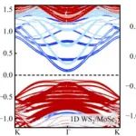 (纯计算)四川大学张红/程新路团队Phys. Rev. B: 一维纳米管异质结中的快速载流子复合和超快管间载流子弛豫行为
