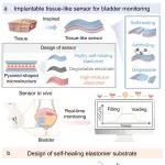 天津大学张雷、杨静教授《Biosens. Bioelectron.》：类组织植入式传感器 - 用于异常膀胱活动实时监测