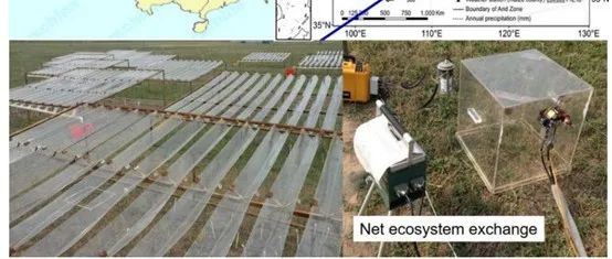 Journal of Applied Ecology | 生长后期降水减少削弱了草地生态系统碳汇