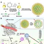 AFM | 海南大学周泱研究开发了ROS可活化的超分子纳米颗粒CTV可增强抗肿瘤疗效