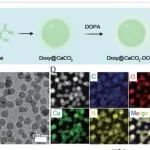 NSR | 苏州大学冯良珠等开发了一种pH响应性激活CAR-T细胞，用于实体瘤的高效治疗