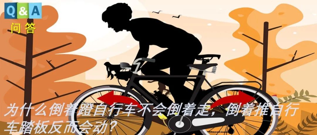 为什么倒着蹬自行车不会倒着走，倒着推自行车踏板反而会动？ | No.471