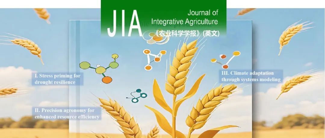 JIA专题 | 南京农大小麦生理生态与生产管理姜东教授团队揭示“花前干旱锻炼”稳质新机制，为小麦稳产保质提供技术支撑