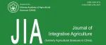 JIA 2025-8期 发布