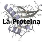 NVIDIA推出La-Proteina，实现原子级蛋白质生成的突破