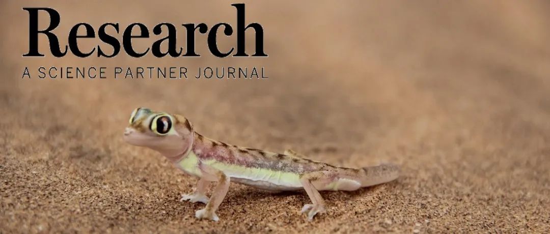 Research|仿壁虎脚趾剥离行为的机械抓手—中北大学祝锡晶教授团队、西安交通大学邵金友教授/田洪淼教授团队新进展
