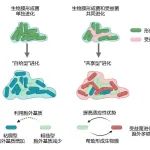 沈其荣院士团队在ISME Journal发表最新研究成果