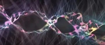 人类也拥有冬眠“超能力”？《科学》背靠背揭开冬眠秘密，或有助于多种疾病治疗