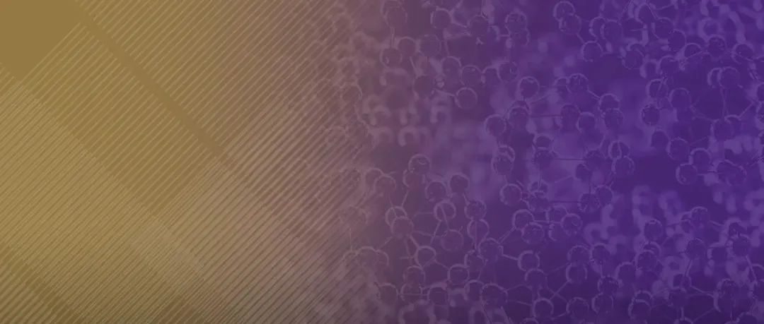 陈倩教授和陈俊教授荣获2025年ACS Nano Lectureship Award