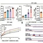 Cancer Discovery | 中山大学徐瑞华等人研究发现HDACi联合抗血管生成及免疫治疗可增强抗肿瘤免疫