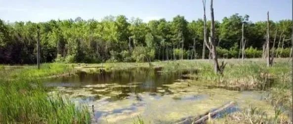 PHREEQC水文地球化学模拟:矿山排水酸化、包气带与饱和带地下水污染与修复、地热地质过程评价、核废料处理以及二氧化碳封存等