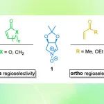 【J. Org. Chem.】萨拉曼卡大学David Díez：环状硝酮与羰基型亲偶极体之间的环状加成反应中的区域发散