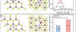 通过高电负性同族元素替代策略实现MoS&#8322;中Zn2+和NH4+的能量存储
