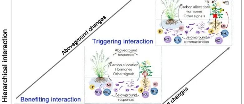 Trends in Plant Science | 内蒙古大学等在养分富集与植物多样性丧失方面发表观点论文
