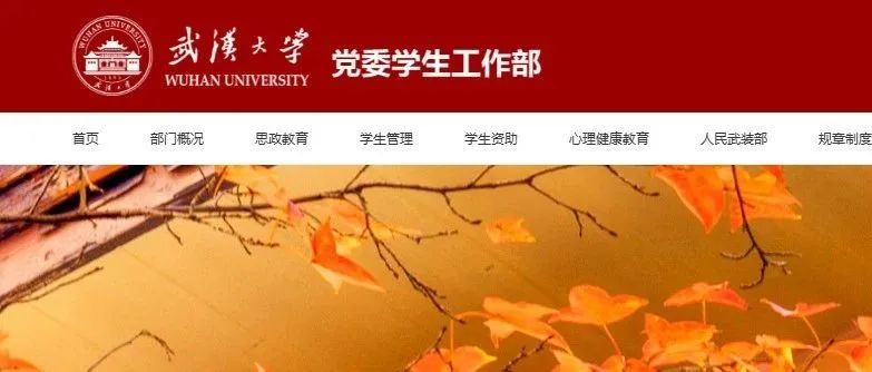 武汉大学图书馆案女生论文杨某某被质疑"学术不端"！！高校回应：对肖某某纪律处分、杨某某学位论文等，进行全面调查复核！
