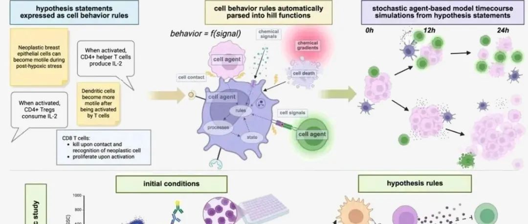 Cell｜让人人都能建立虚拟细胞实验室！科学家创建“细胞语法”，用人类语言预测细胞行为