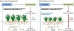 Global Change Biology|草地退化加剧了氮富集对土壤微生物群落稳定性的负面影响