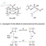 北师大王文光/中山大学叶生发/华中科大廖荣臻团队JACS：铁-钼协同催化电化学还原亚硝酸根选择性转化研究