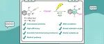 【J. Org. Chem.】南华大学蔡进辉课题组：电催化烷基炔基醇通过硒基化/环化/芳构化串联反应合成2-硒萘化合物