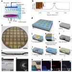 超宽带氮化硼hBN 光子忆阻器/二维材料 | Nature Nanotechnology