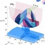 高场超导-重费米子材料UTe2 | Science