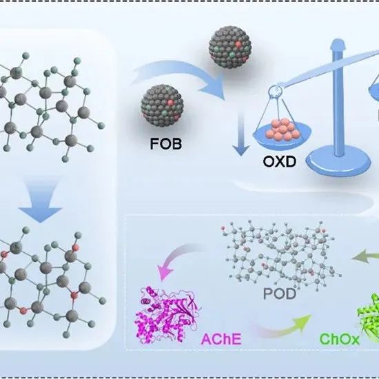 ACS NANO.通过非金属掺杂优化氧化铁的电子结构以增强类过氧化物酶催化性能