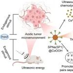 JACS：杂化纳米敏化剂中的级联能量转换可实现超声激活的发光成像以及增强的声动力治疗