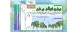 The Innovation Geoscience | 大规模碳移除后，陆地生态系统如何响应？