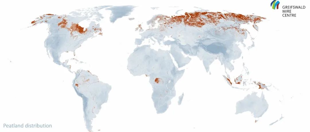 东北师范大学地理学院研究团队《Nature Geoscience》《Global Change Biology》等系列成果！