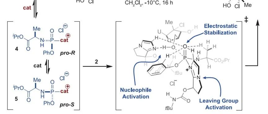 Whipping Phosphorus into Chiral Shape