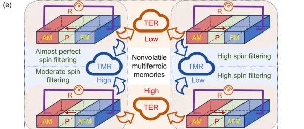 华中科技大学Phys. Rev.&#160;B:基于交错磁CrSb的室温以上多铁隧道结
