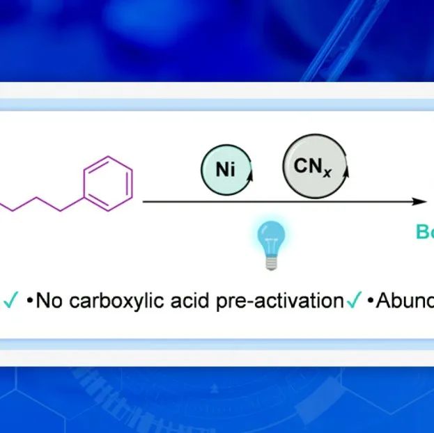 【Nat. Commun.】米兰理工大学：使用镍络合物和氮化碳实现羧酸和烷基卤化物的光催化C(sp&#179;)–C(sp&#179;)交叉偶联