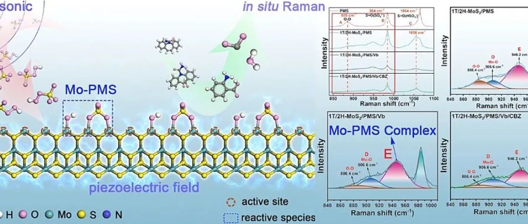 文献速递|南昌大学CEJ:对1T/2H-MoS&#8322;介导的PMS压电活化的研究：压电势增强Mo-PMS复合物的形成，作为主要活性物种