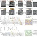山东大学/浙江大学合作，Nature Nanotechnology！