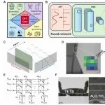 研究进展：忆阻器芯片-实时信号处理 | Science Advances