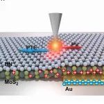 研究进展：二硫化钼MoS&#8322;/Au异质结-光电流 | Science Advances