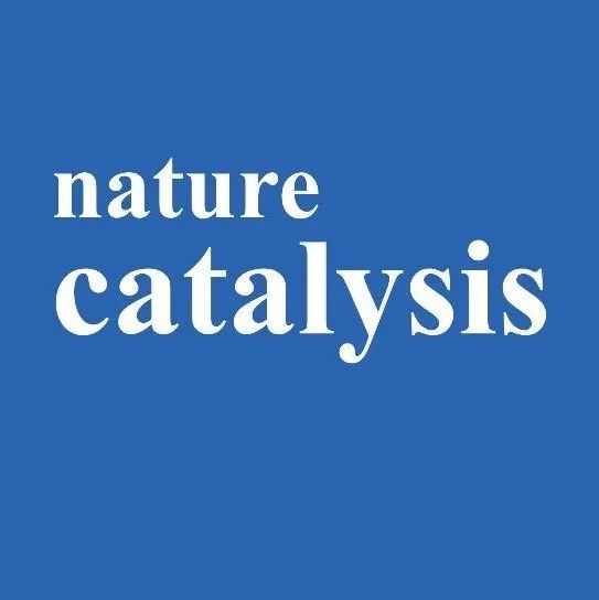 CO2还原，Nature Catalysis！