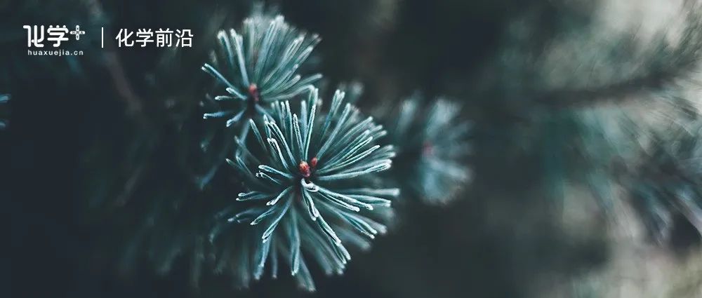 南京林业大学陈振课题组：无添加剂的EDA光化学烯酰胺与三氟甲基苯并噻唑砜的芳基化三氟甲基化反应