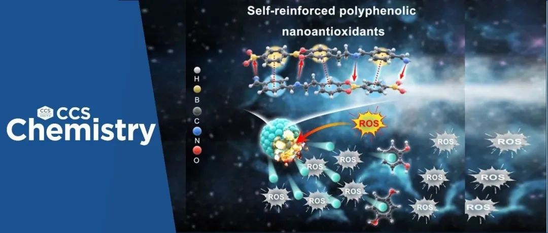 【CCS Chem.】四川大学李乙文团队：自增强多酚纳米抗氧化剂
