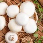 《食品科学》：甘肃农业大学贠建民教授等：富氢水浸泡联合聚乙烯纳米膜包装对双孢菇采后贮藏品质和抗氧化能力的影响