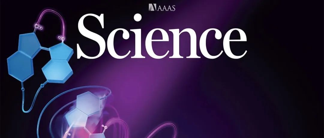 【Science周一新闻】行为驱动灵长动物演化过程中的形态变化