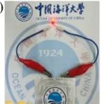 中国海洋大学《JMCA》：有序纤维素纳米晶，用于稳定全固态锂电池