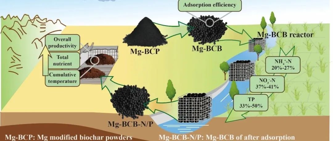 【视点】江苏省农科院：Mg改性生物炭球从稻田退水中原位回收养分用于堆肥以实现经济环境效益