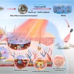 Biomaterials：激光促进的类过氧化物酶水凝胶可同时监测和消除伤口感染